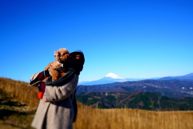 快晴の大室山から富士山をみる